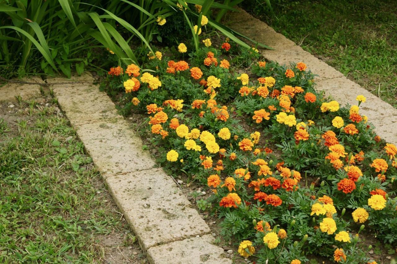 B&B The Secret Garden Buia Exterior photo